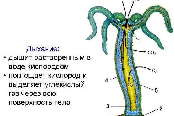 Вход кракен