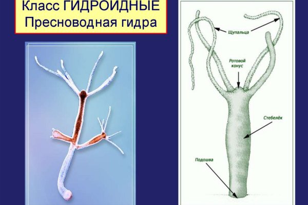 Kraken ссылка зеркало рабочее